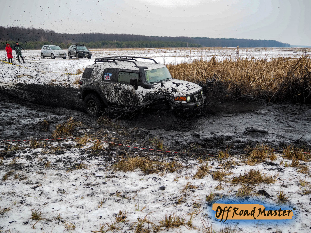 Метелица 2022