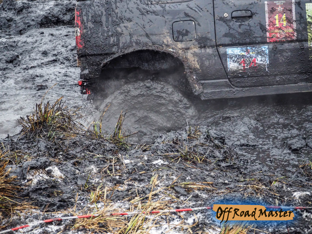 Метелица 2022