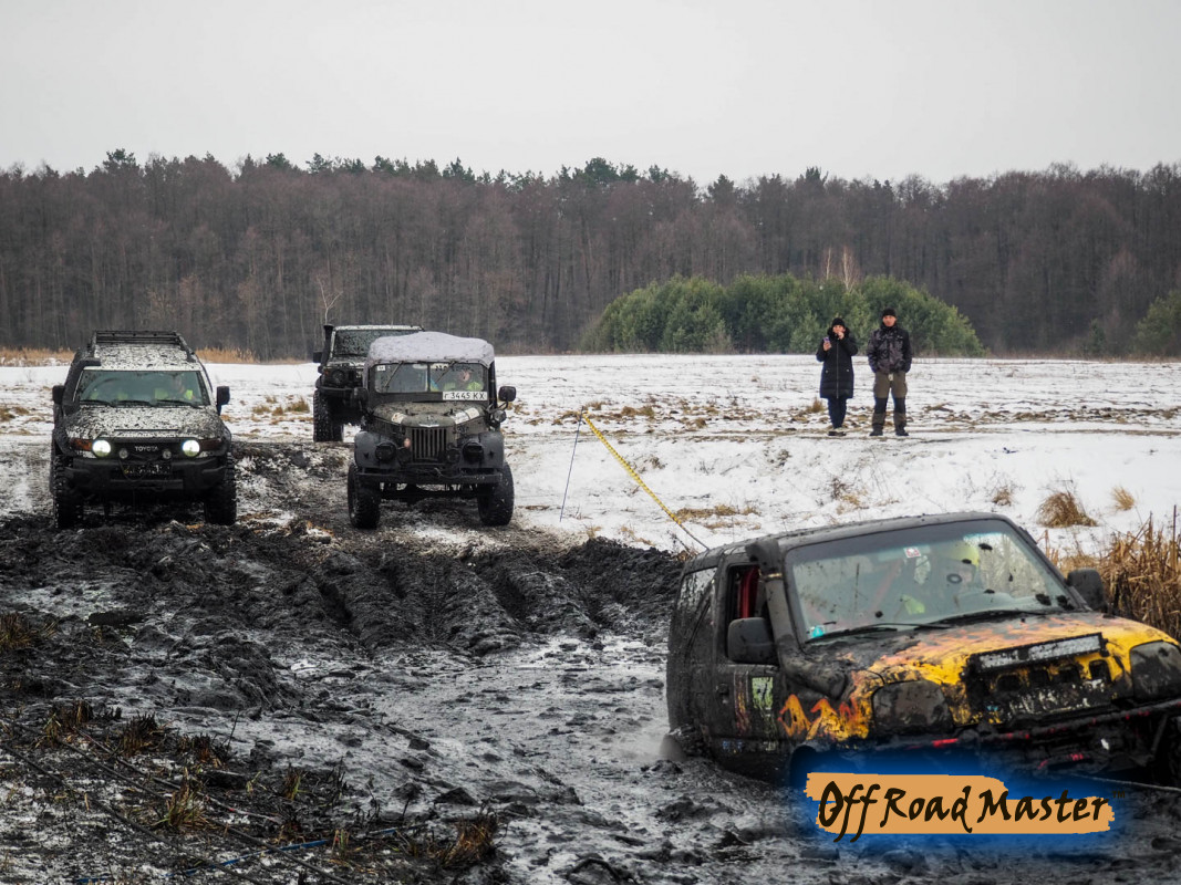 Метелица 2022