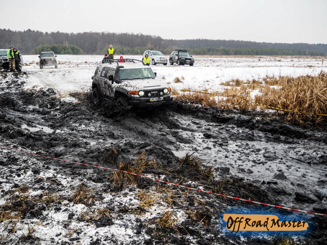 Метелица 2022