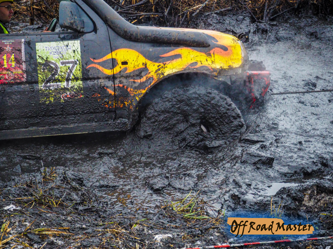 Метелица 2022