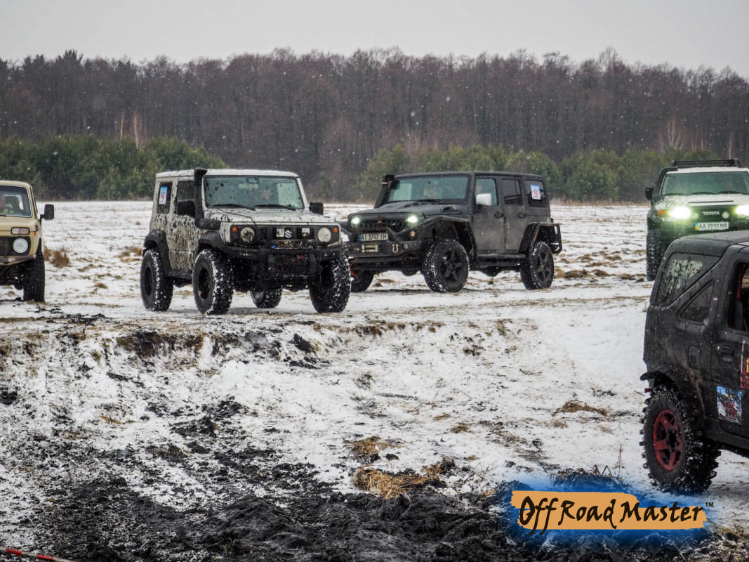 Метелица 2022