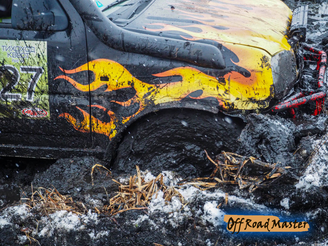 Метелица 2022