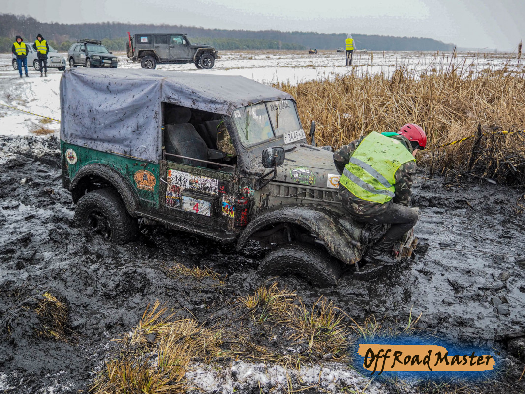 Метелица 2022