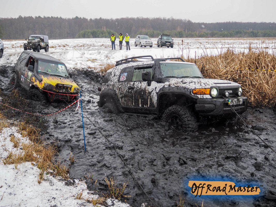 Метелица 2022