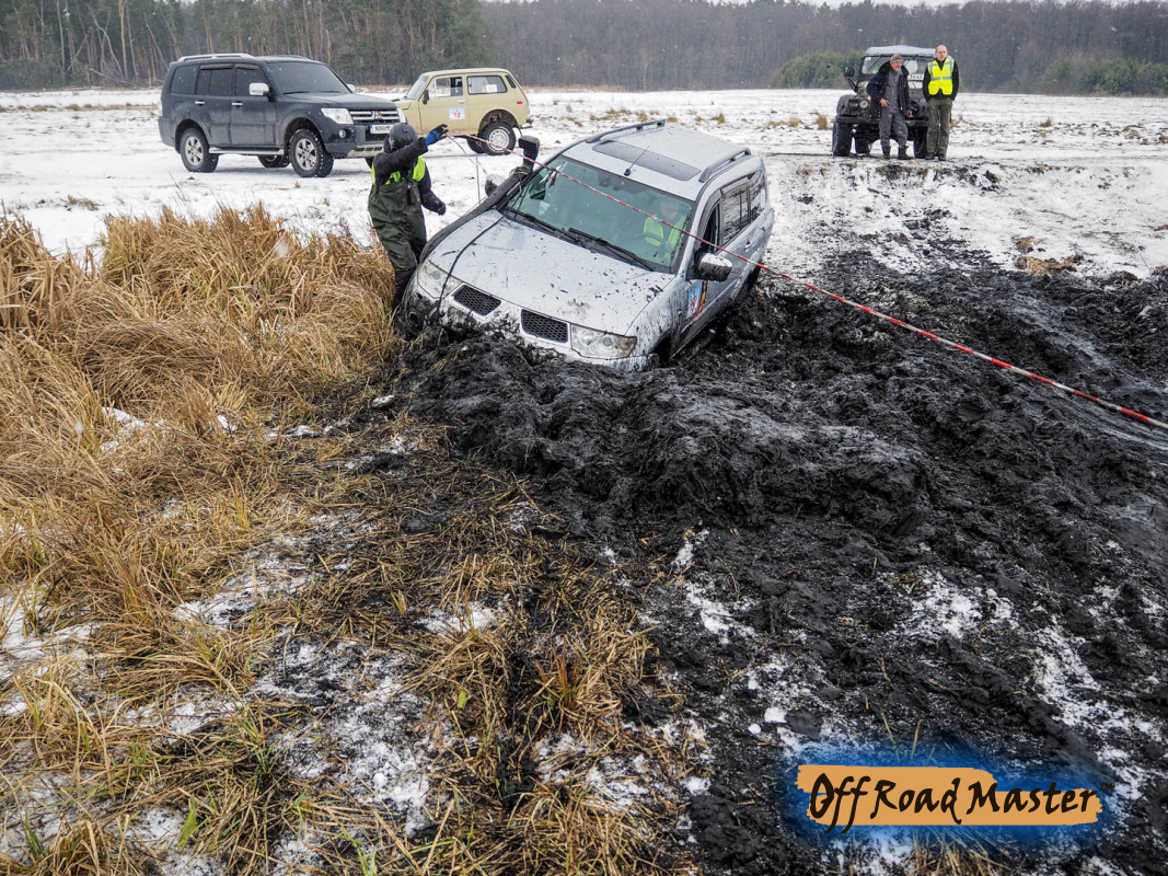 Метелица 2022