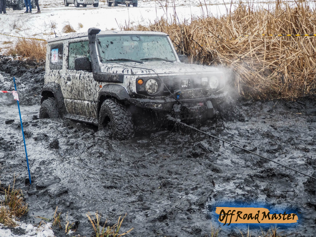 Метелица 2022