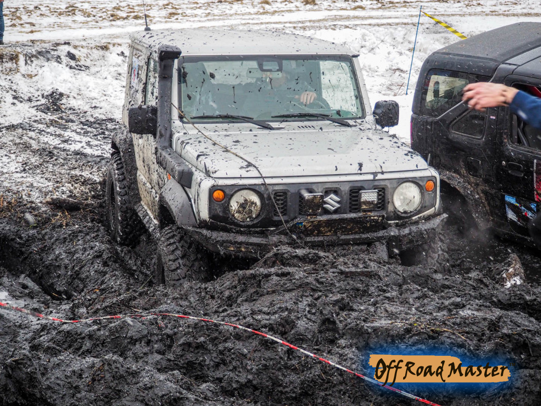 Метелица 2022