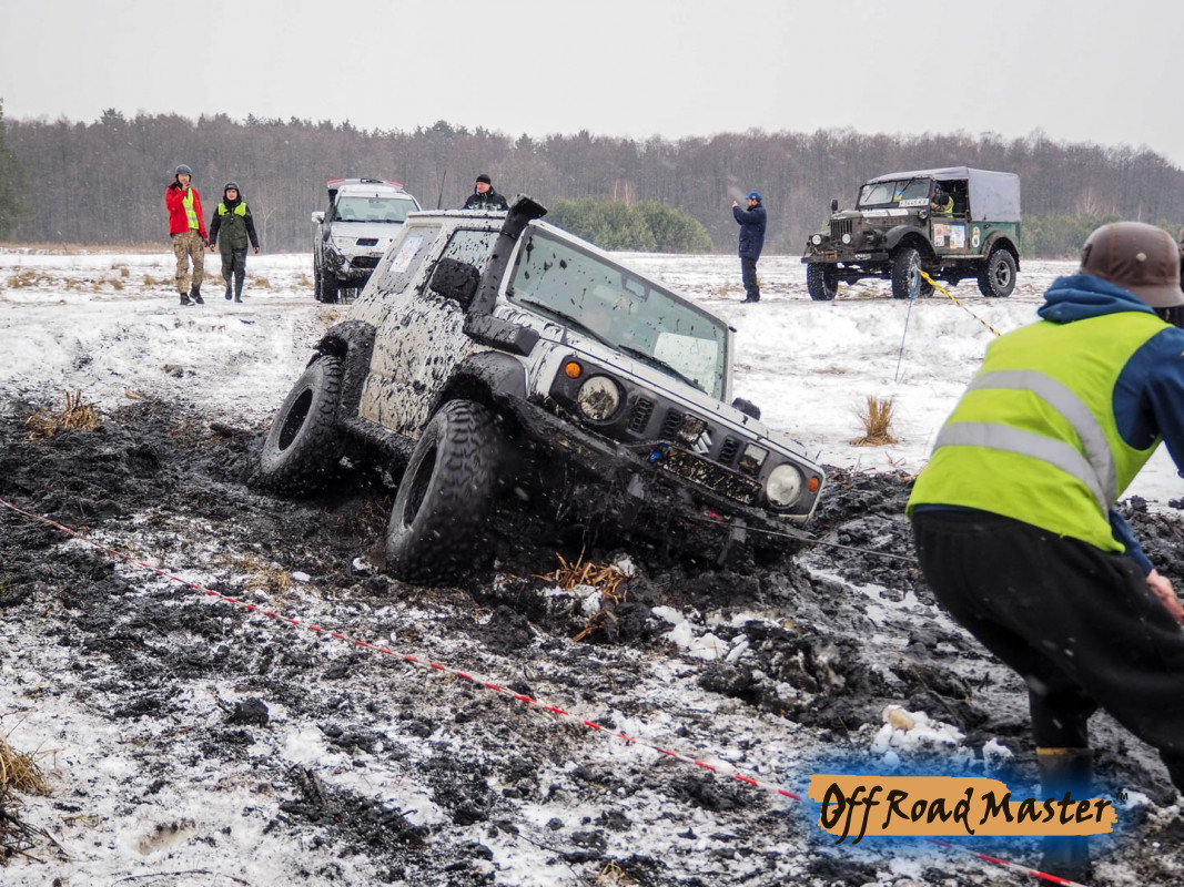 Метелица 2022