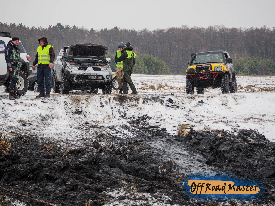 Метелица 2022