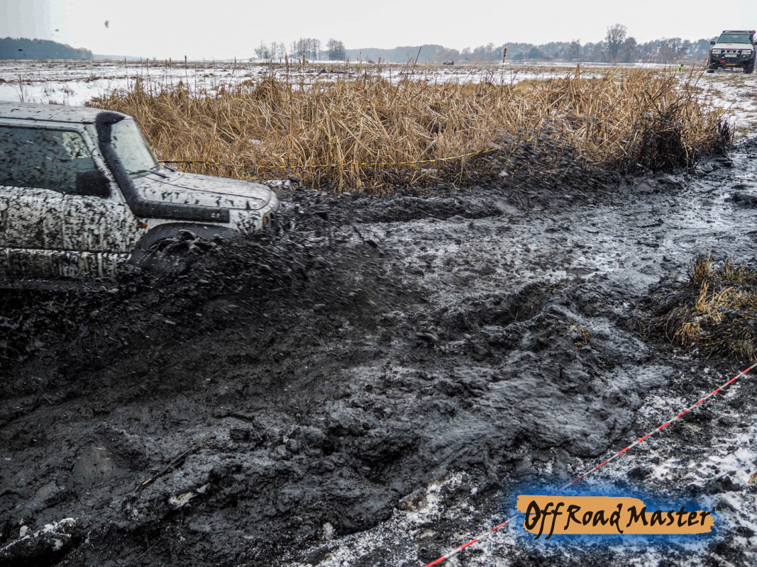 Метелица 2022