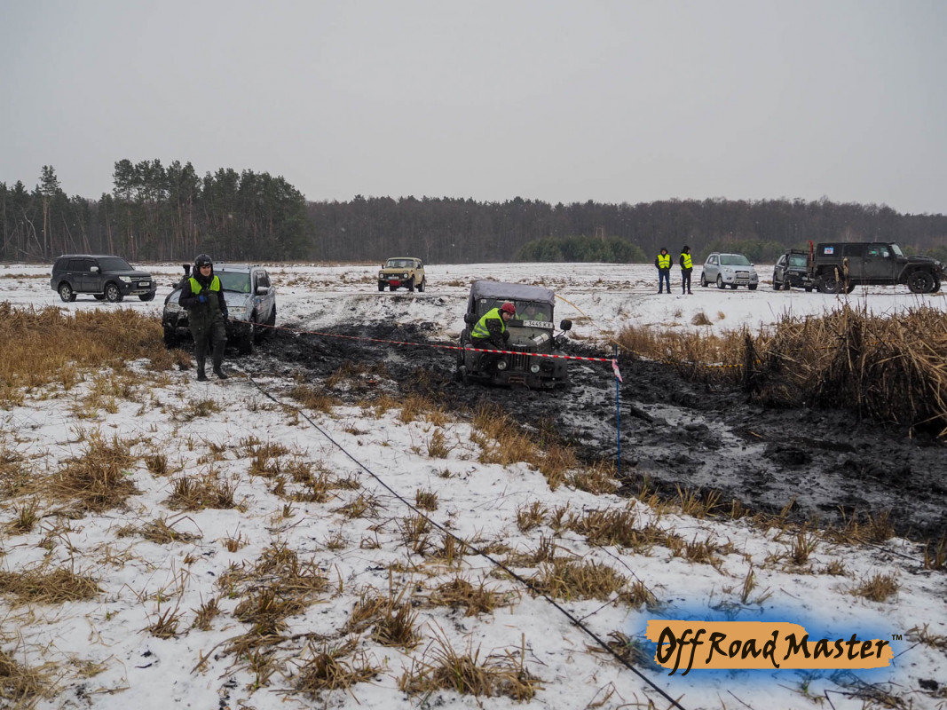 Метелица 2022