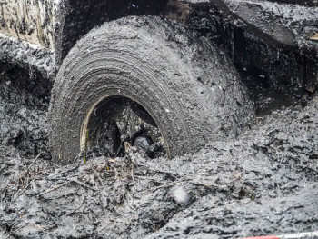 Метелица 2022 Метелица 2022