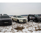 Метелица 2022