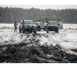 Метелица 2022