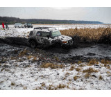 Метелица 2022