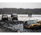 Метелица 2022