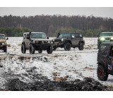 Метелица 2022