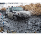 Метелица 2022