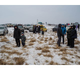 Метелица 2022