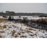 Метелица 2022