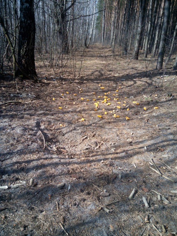 IMG 20150320 103922 IMG 20150320 103922