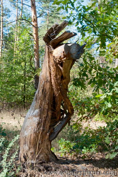 21159 382 570 21159 382 570