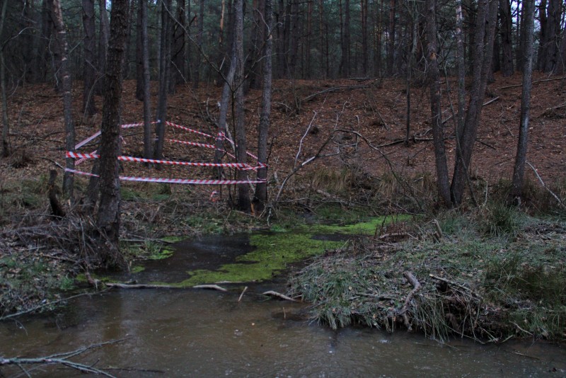 Все ще не займаний СУ.jpg