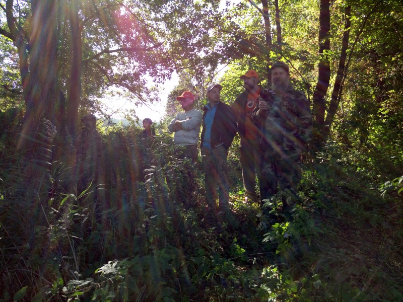 2015 10 03 12.21.32 2015 10 03 12.21.32