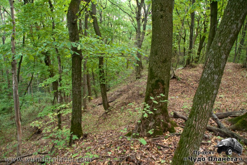 21582 851 570 21582 851 570