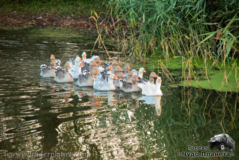 21340 851 570 21340 851 570