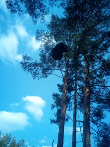 IMG 20150320 102849 IMG 20150320 102849