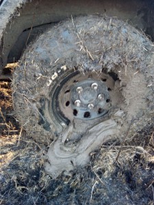 IMG_20150320_170950.jpg IMG_20150320_170950.jpg