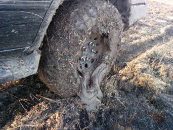 IMG_20150320_170941.jpg IMG_20150320_170941.jpg