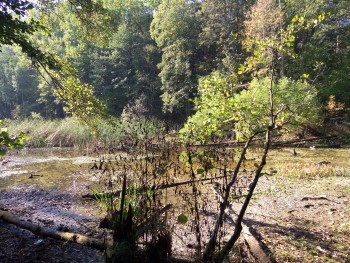 2015 10 03 10.35.56 2015 10 03 10.35.56