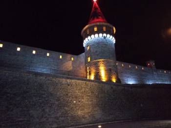 P51114 184600 P51114 184600