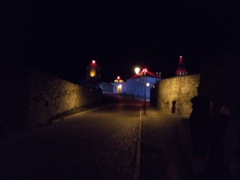 P51114 183130 P51114 183130