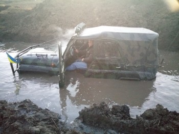 P51114 165415 P51114 165415