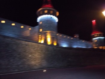 P51114 184557 P51114 184557