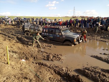 P51115-115050.jpg P51115-115050.jpg