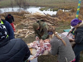 P51114-122902.jpg P51114-122902.jpg