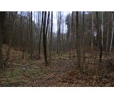 Незайманий СУ.jpg