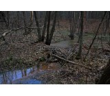 Бобрострой на СУ.jpg