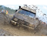 gallery 20637 1951 73619