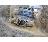 gallery 20637 1951 131992