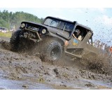 gallery 20637 1951 196411