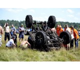 gallery 20637 1951 119065