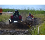 gallery 24819 1956 2654092