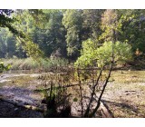 2015 10 03 10.35.56 2015 10 03 10.35.56