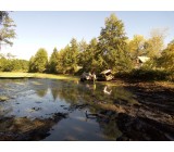 2015-10-03 13.36.13.jpg 2015-10-03 13.36.13.jpg